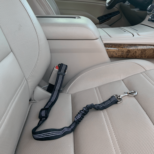 Car Elastic Safety Leash